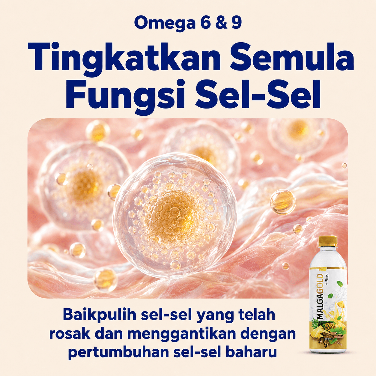 Malgagold slide 5